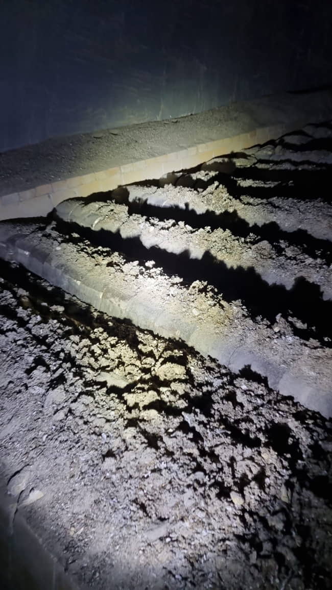 Imagen principal LA IMPORTANCIA DE SUMINISTRAR BIOMASA LIMPIA